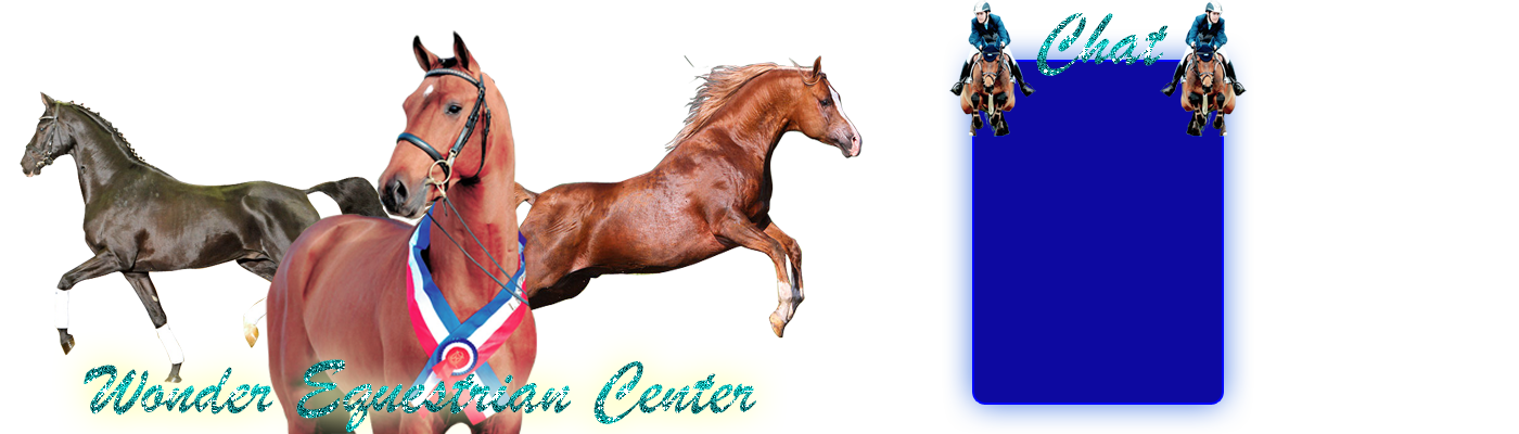Wonder Equestrian Center